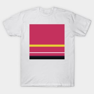 A single tailoring of Very Light Pink, Dark, Almost Black, Dingy Dungeon and Sandstorm stripes. T-Shirt